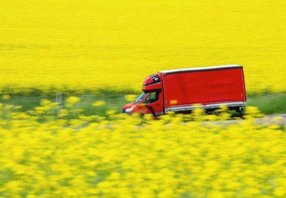 Bouquet en emballage écologique