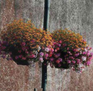 Arche de cérémonie avec roses