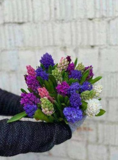 Scène de festival avec arche florale