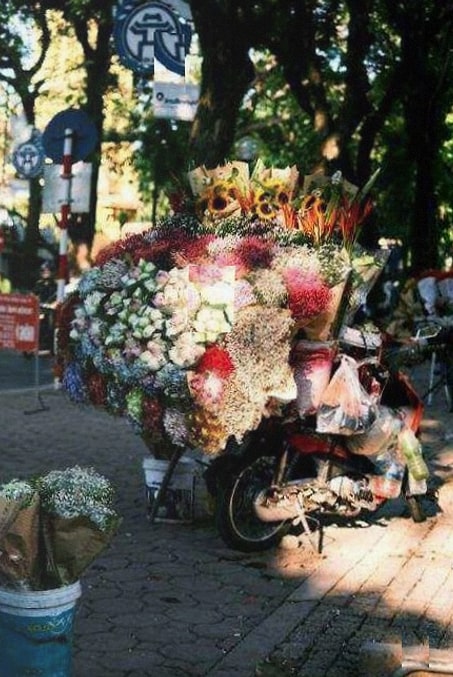 Gros plan sur les compositions florales de scène de festival