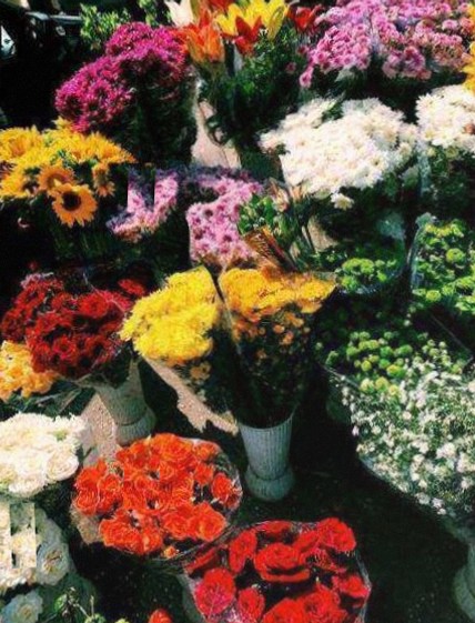 Fond de scène floral lors d’un festival culturel