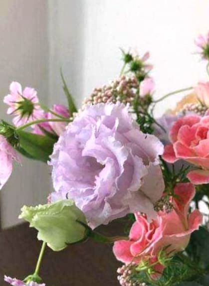 Fleuriste sélectionnant des fleurs de saison